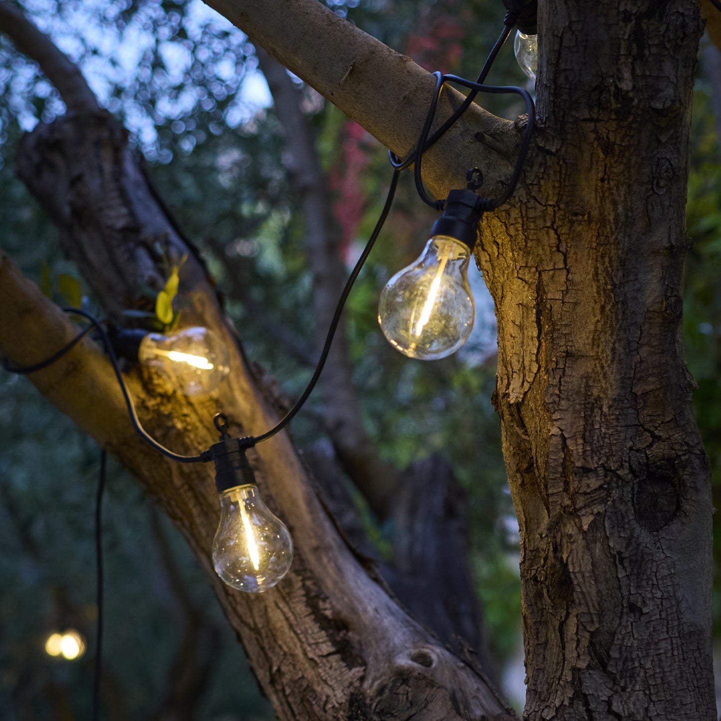 Lot de 2 guirlandes lumineuses extérieur 10 globes transparents LED blanc chaud dimmable PARTY CLEAR HYBRID 8m solaire et sur secteur