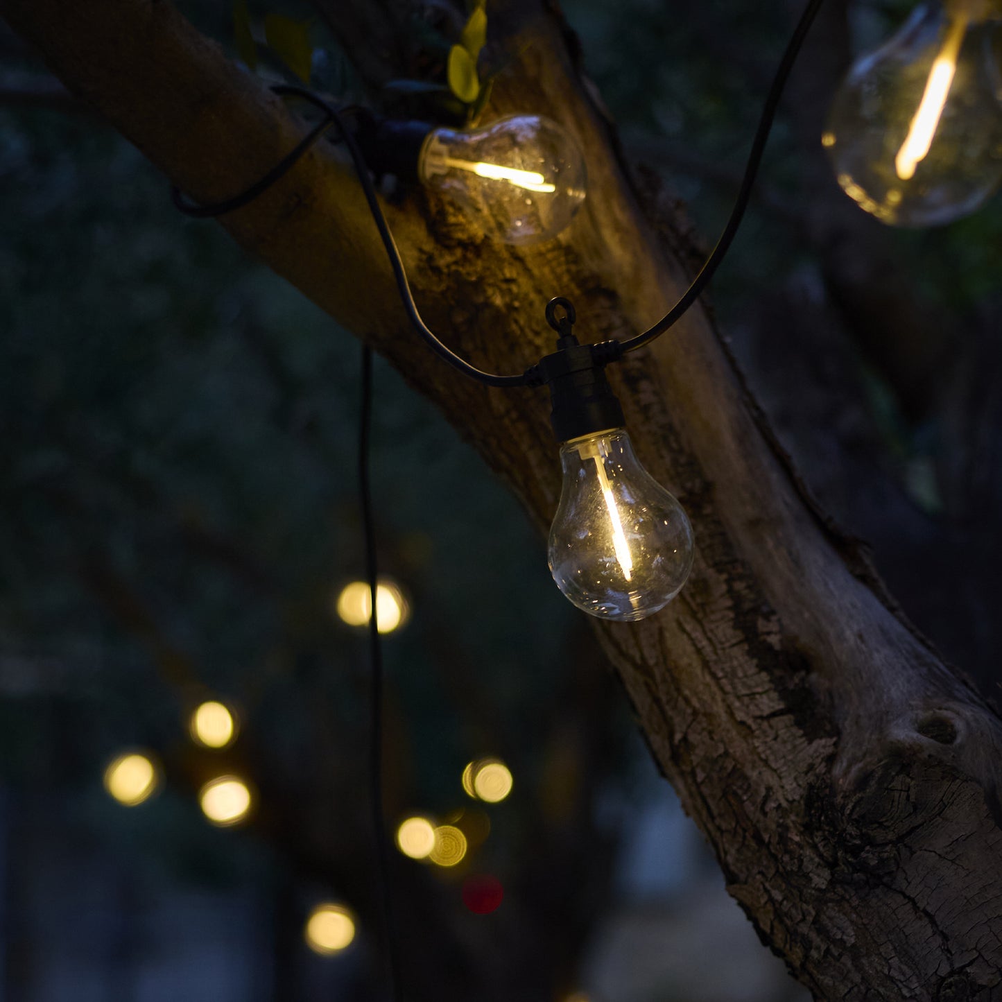 Lot de 2 guirlandes lumineuses extérieur 10 globes transparents LED blanc chaud dimmable PARTY CLEAR HYBRID 8m solaire et sur secteur